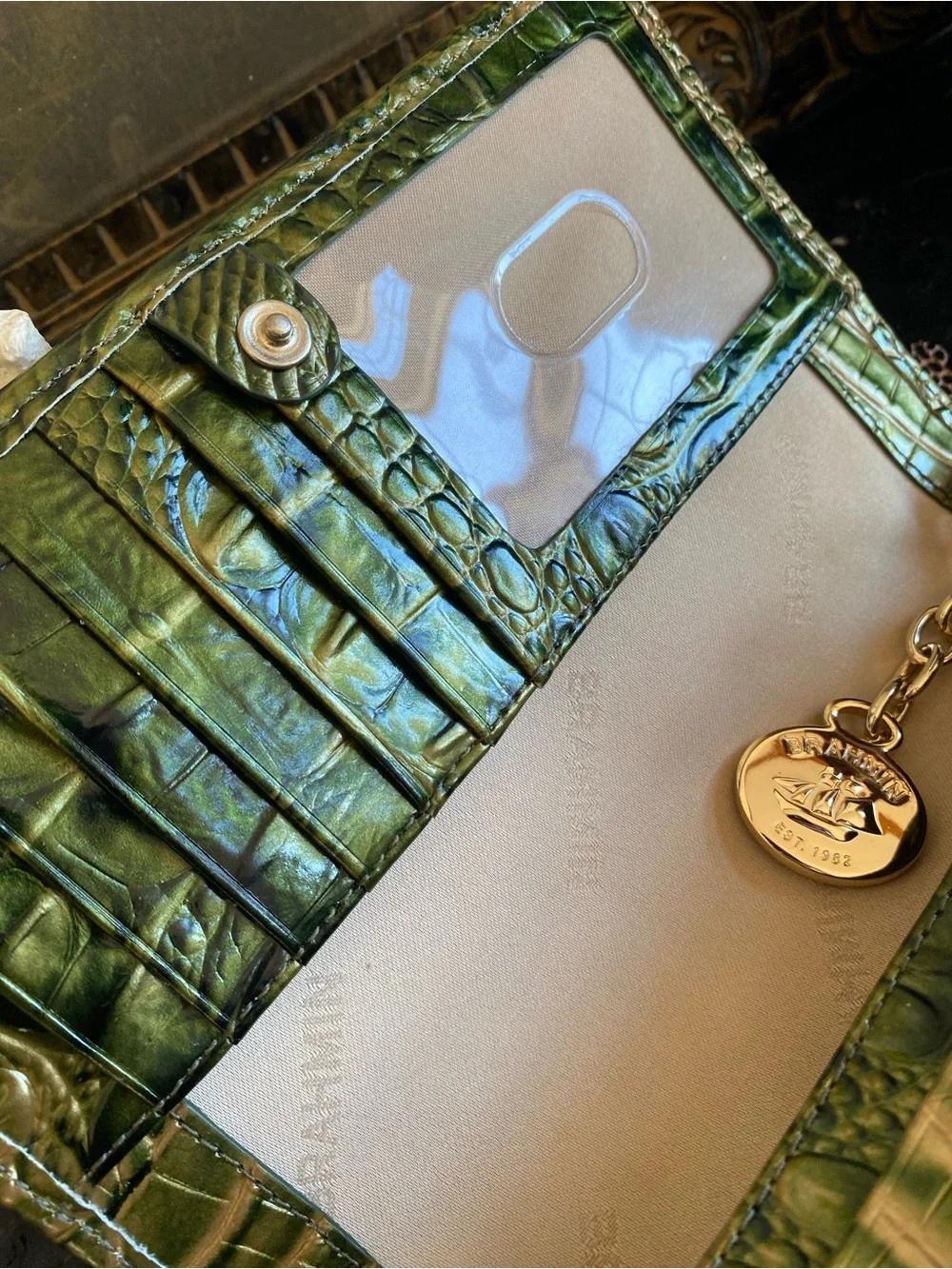 🌴 Built -in-Wallet!! Beautiful Brahmin MATCHA OMBRE Minuette Crossbody